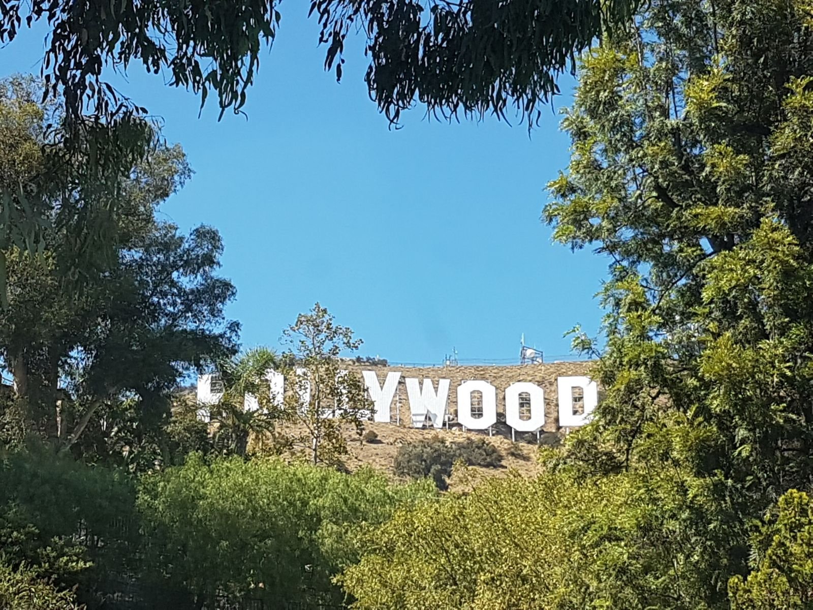 hollywood sign