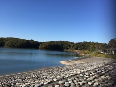 所泽市旅游 所泽市旅游指南