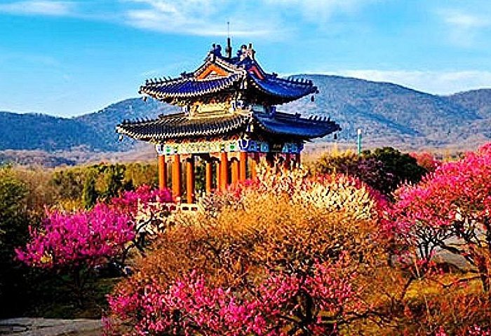 (江苏省南京)紫金山 - 旅游景点评论 - tripadvisor