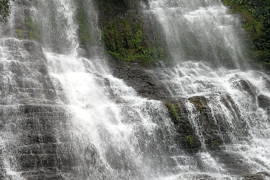 Hongxi Primeval Forest Waterfall Resort image