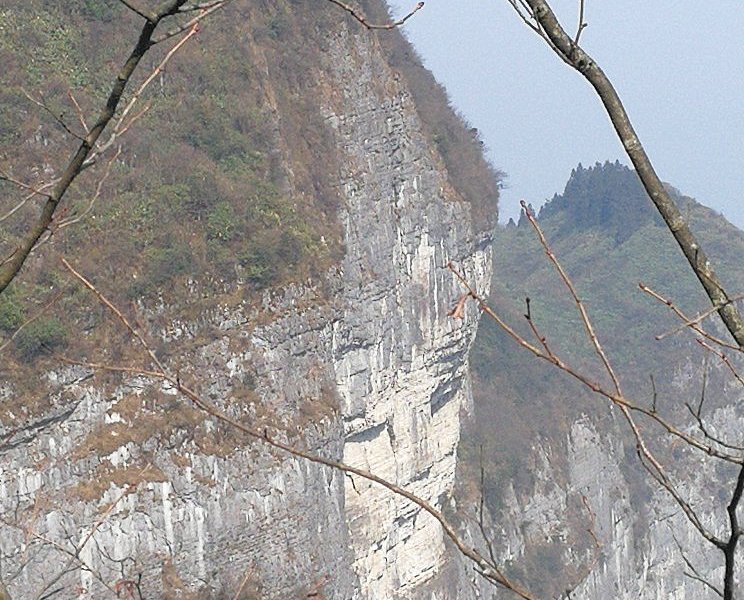 Chongqing Maoyun Mountain image