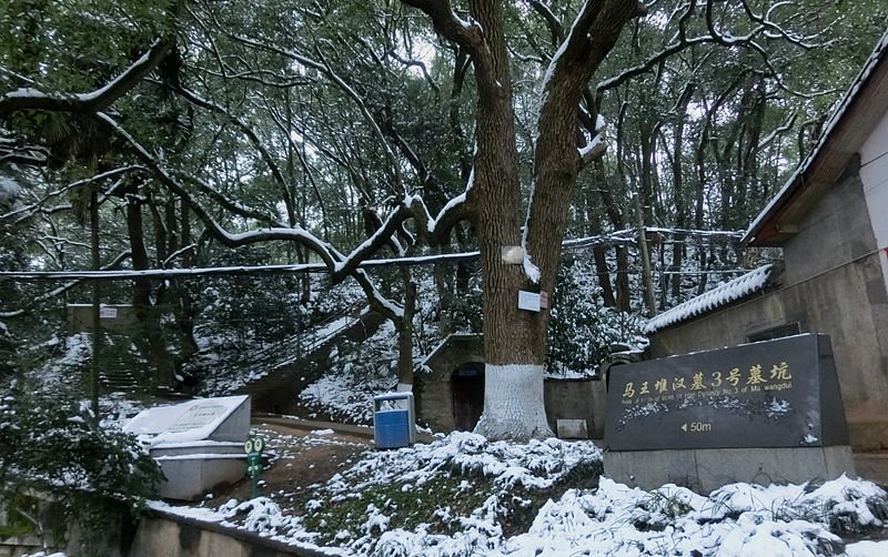 Mawangdui Mausoleum image