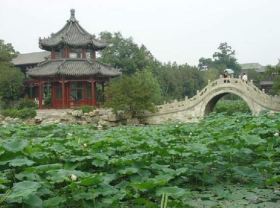 Acient Lotus Flower Pond Resort image