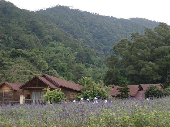 Panlong Gorge Ecological Resort image