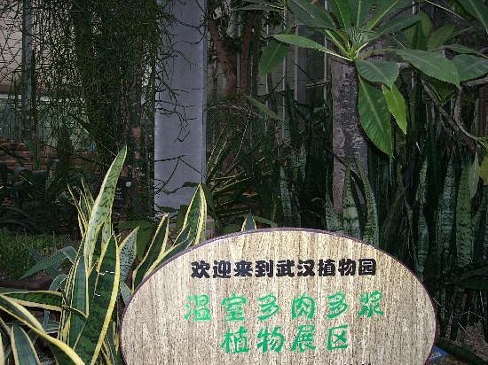 Wuhan Botanical Garden image