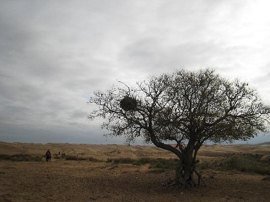 Kubuqi Desert image