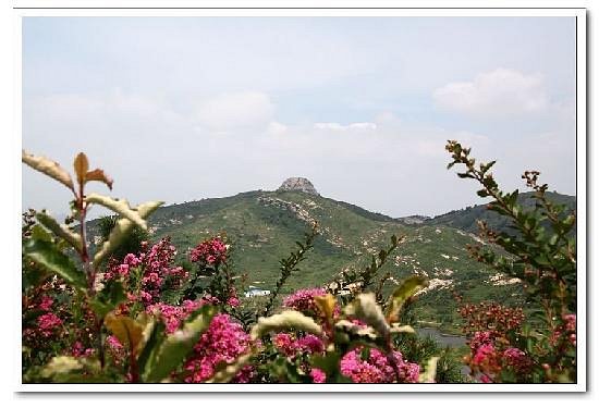 Daru Mountain image