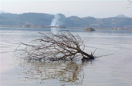Qingshan Lake image
