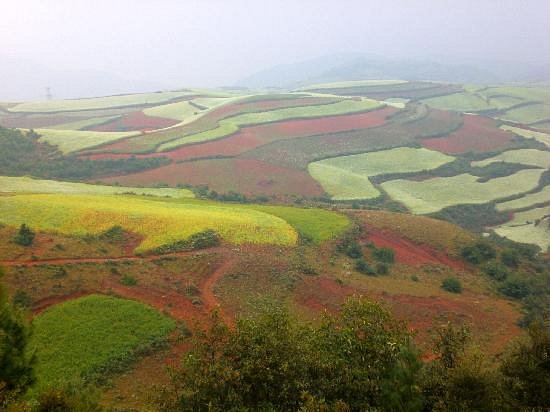 Dongchuan Red Land image