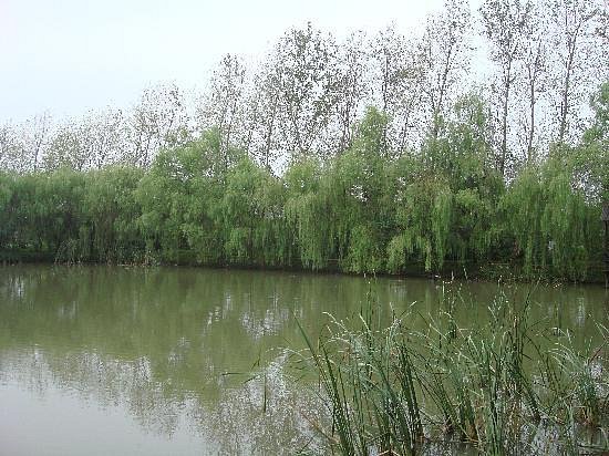 Qin Lake image