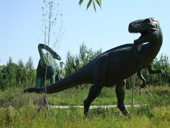 Yichun Dinosaur Museum image
