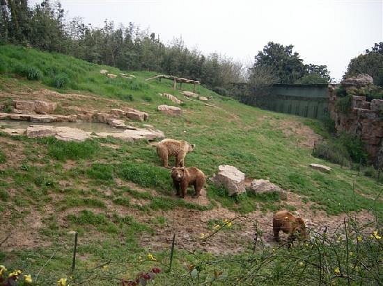 Zhuyuwan Scenic Spot (Yangzhou Zoo) image