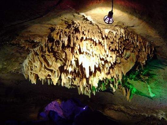 Fish Cavern image