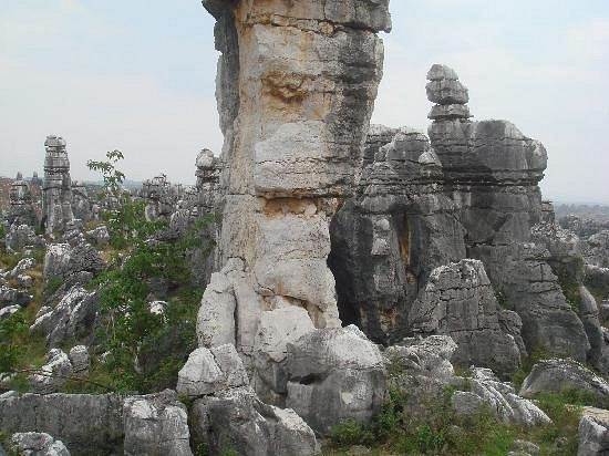 Liziqing Stone Forest image