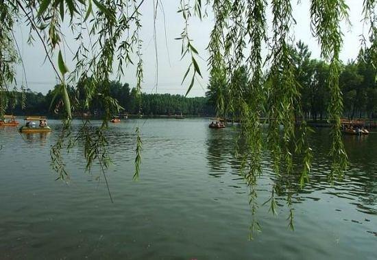 Donglin Lake image