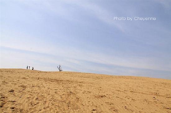 Tianmo Natural Desert image