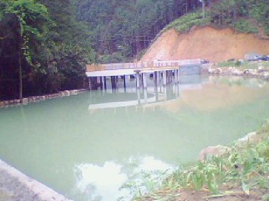 Jiulong River Forest Park image