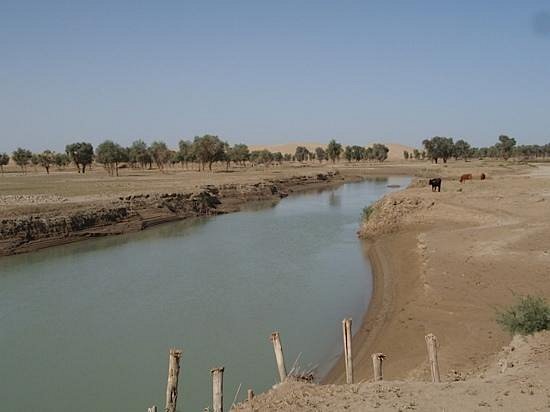 Tarim River image