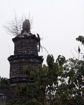 Monkey Tower image