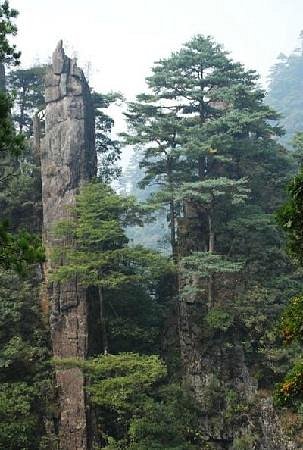 Tian'eshan National Forest Park image