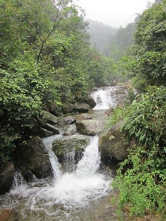 Dajishan National Forest Park image