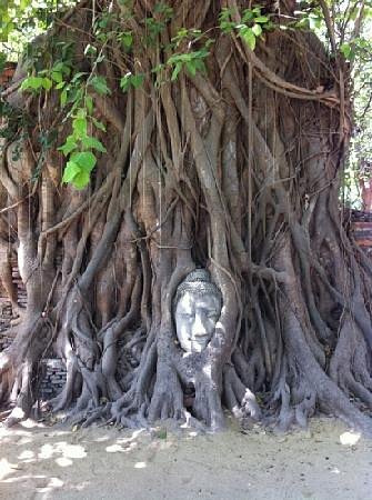 Wat Mahathat image