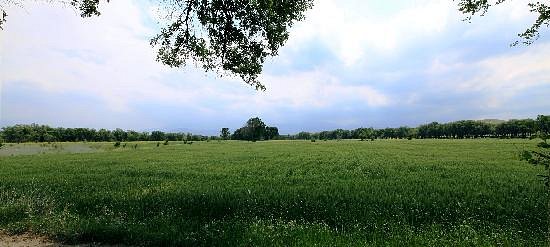 Lujiaowan Grassland image