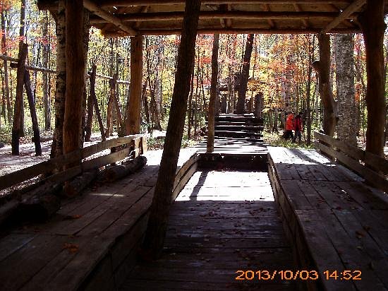 Hongshi National Forest Park image