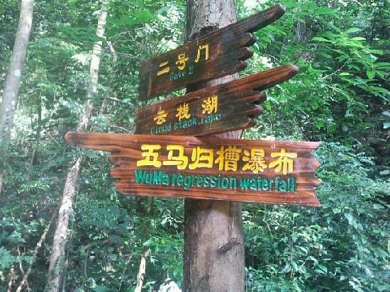 Daguishan National Forest Park image
