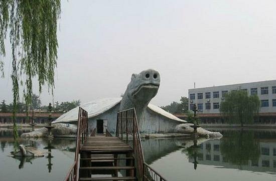 Oriental Giant Turtle Court image