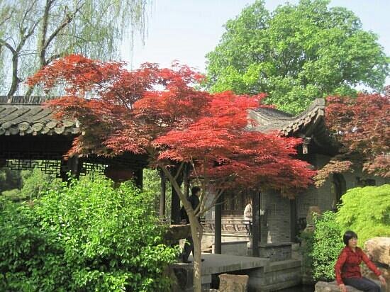 Liuyuan Garden image