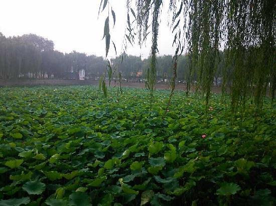 Xinlei Park image