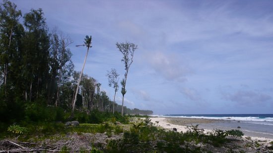 Honeymoon Island image