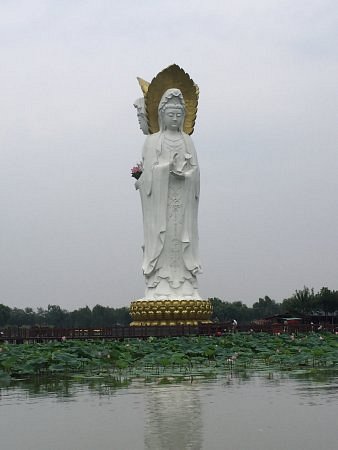 Baiyangdian Lotus Daguanyuan image
