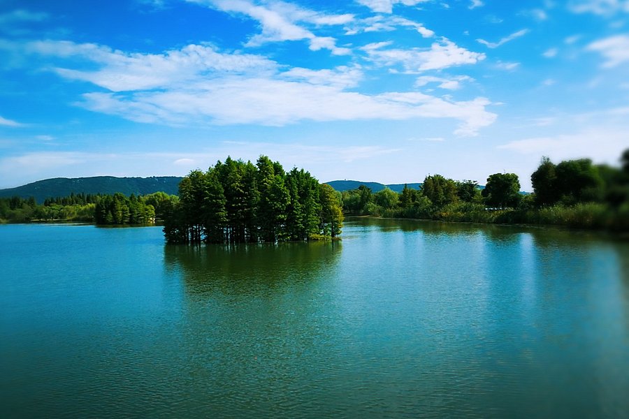 Shang Lake image