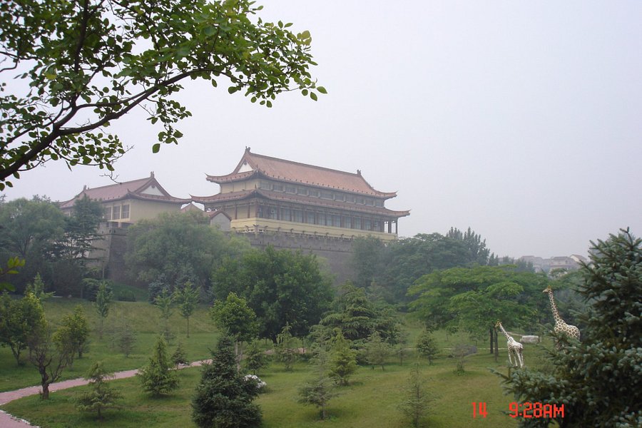 Qingzhou Museum image