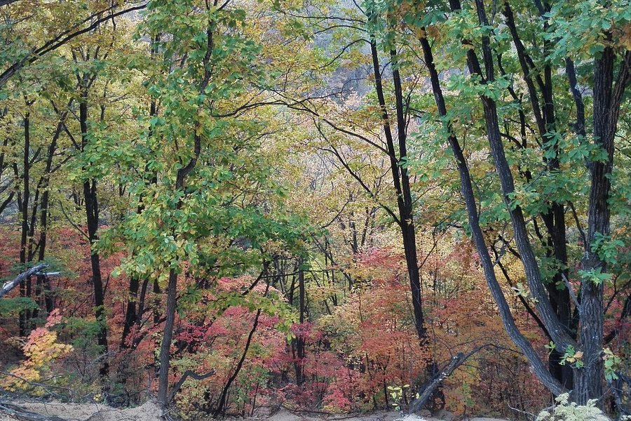 Baijiyao Forest Park image