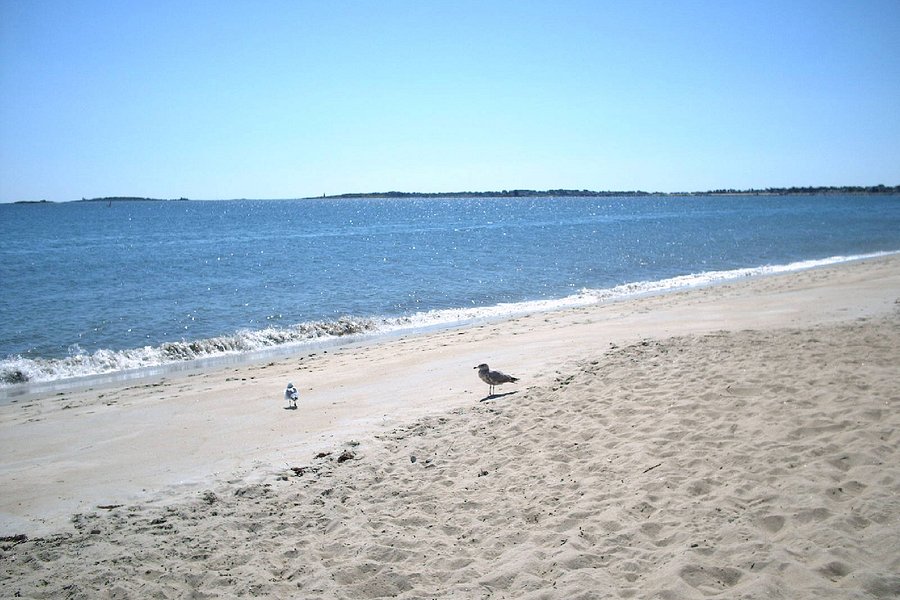 Ferry Beach State Park image