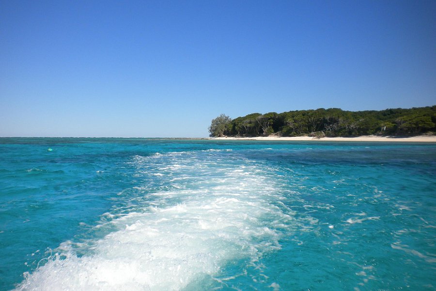 Lady Musgrave Island image