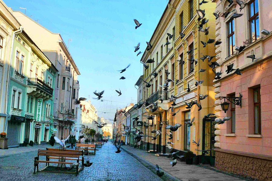 Olgi Kobylyanskoi Street image