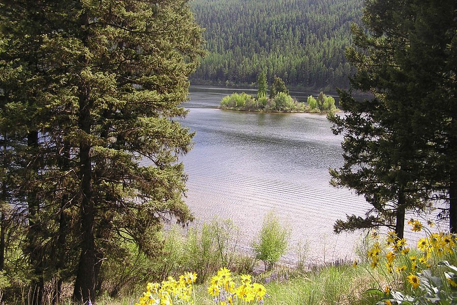 Salmon Lake State Park image