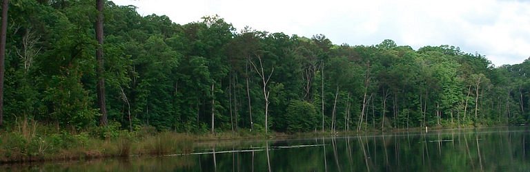 Hickory Log Creek Reservoir image