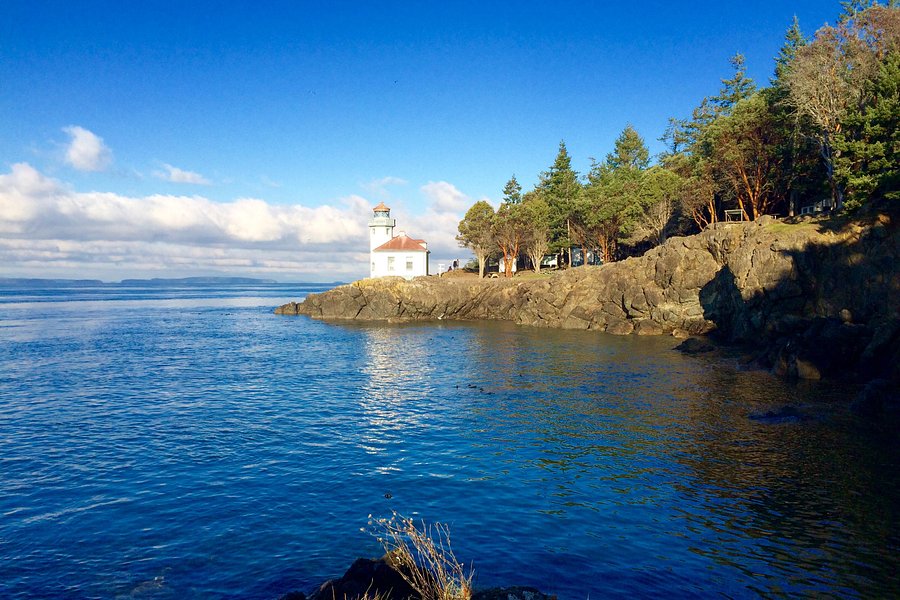 Lime Kiln Point State Park image