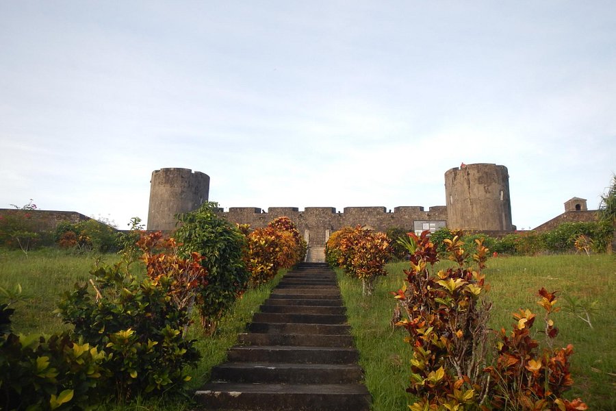 Fort Belgica image