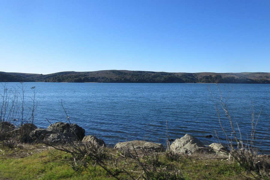 Tomales Bay State Park image