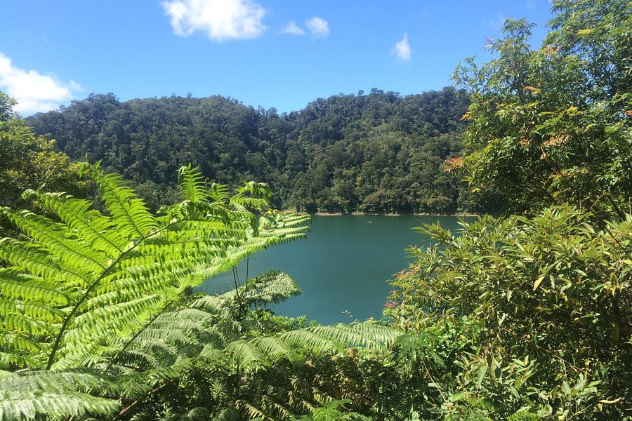 Twin Lakes of Balinsasayao & Danao image