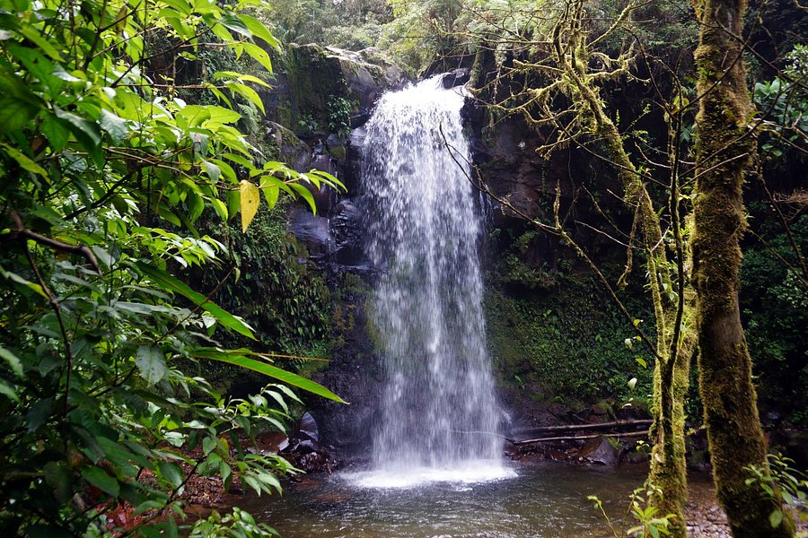 The Lost Waterfalls-Boquete image
