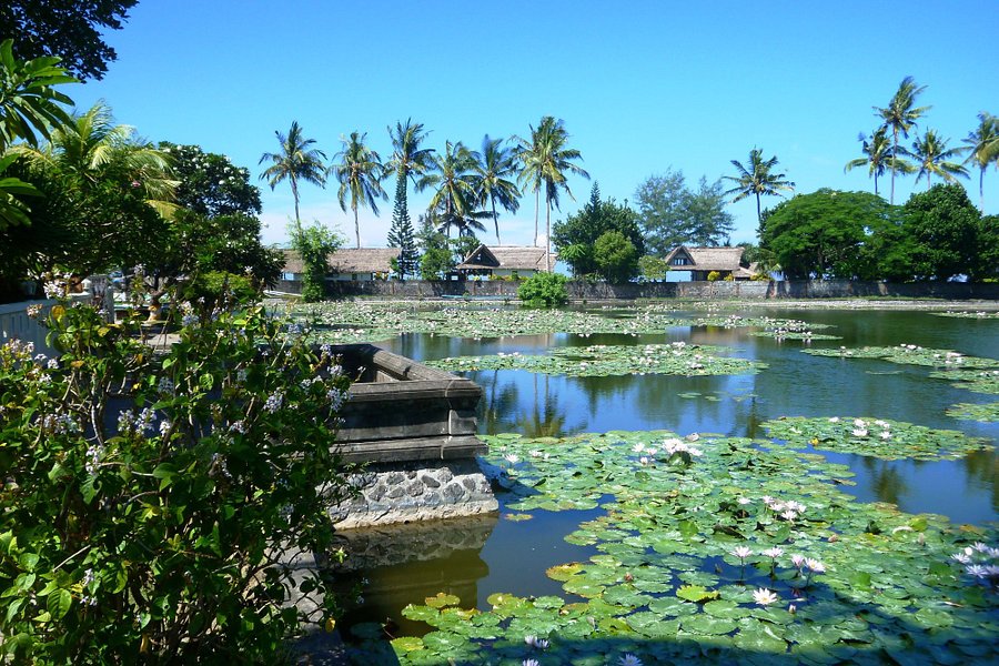 Lotus Lagoon image