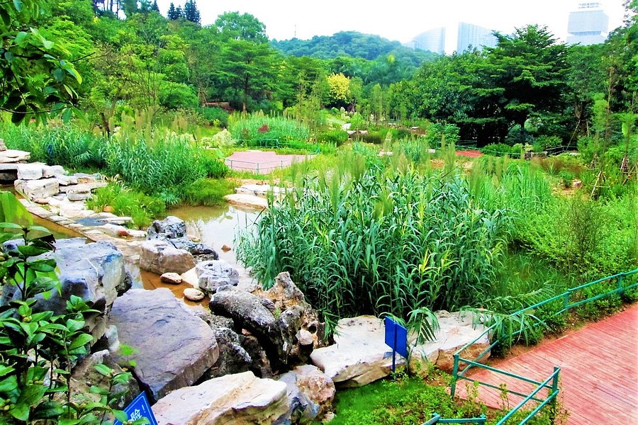 Shimen Forest Park image