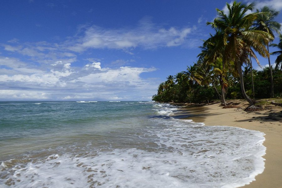 Playa Esmeralda image